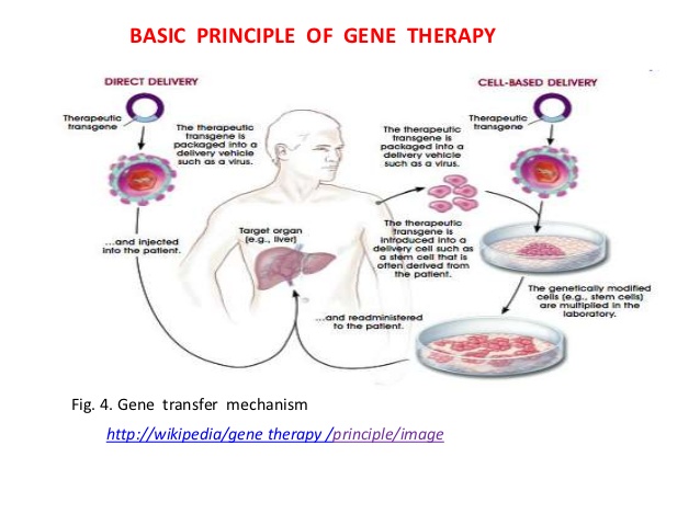 Gene Therapy Stage-2